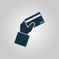 Credit card payment icon vector
