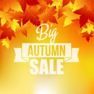 Autumn background with leaves N38