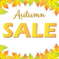 Autumn sale with colorful leaves