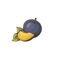 Icon plum by organic food Vector illustration