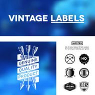 Vintage premium labels set on blurred background