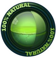 Natural Orb Vector Illustration