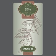 Vector olive oil label template