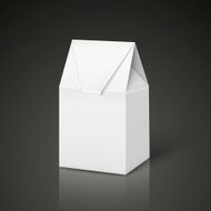 white cardboard carry bag packaging