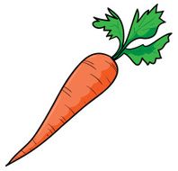 Carrot N8