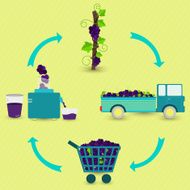 Process of grape juice