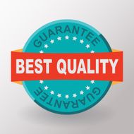 Best quality guarantee flat label with ribbon Flat design