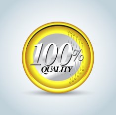 100 quality in style of one euro coin N2