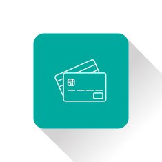 Credit Card Icon N11