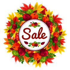 Autumn discount banner with beautiful fall leaves apples sale N2