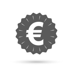Euro sign icon EUR currency symbol N4