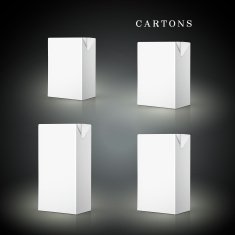 white drink cartons set
