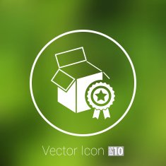 PREMIUM box packing vector design isolated icon
