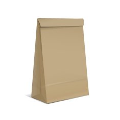 kraft paper bag N5
