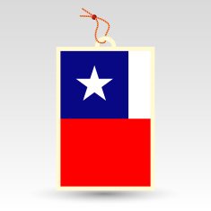 chilean price tag - flag of chile N2