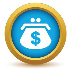 Gold dollar purse icon N2