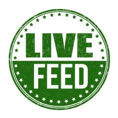 Live feed stamp N3