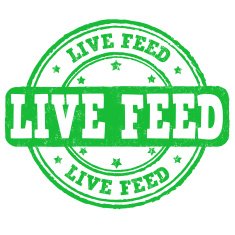 Live feed stamp N5