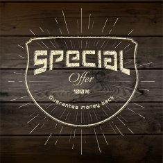 Special offer badges logos and labels for any use