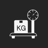 logistics freight weight icon N9