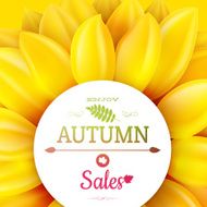 Sunflower autumn sale EPS 10