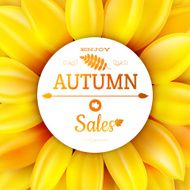 Sunflower autumn sale EPS 10 N4