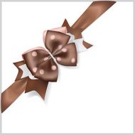 Brown bow with diagonally ribbon