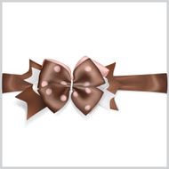 Brown bow with horizontal ribbon