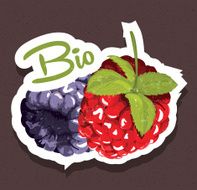 Bio raspberries tag
