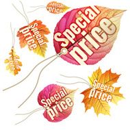 Set of Autumn Sale tags EPS 10