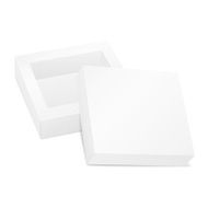blank opened cardboard box N7
