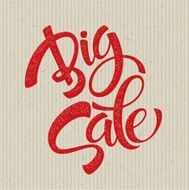Big Sale Inscription Calligraphy Lettering Vector illustration N6