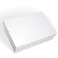 Package white box design isolated on background template N2