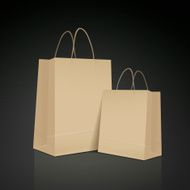 kraft paper bag set