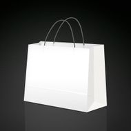 white paper bag N6