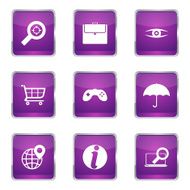 SEO Internet Sign Square Vector Violet Icon Design Set 10 N5