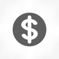 Dollar Sign Icon N5