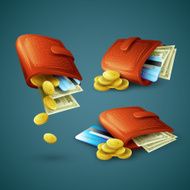 Purse with money credit cards and coins Vector illustration