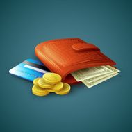 Purse with money credit cards and coins Vector illustration N2