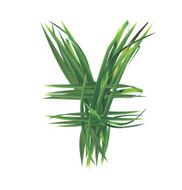 Yen sign from grass