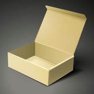 blank open paper box