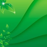 green leaves N8