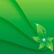 Green Leaf N17