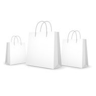 blank paper bags set N2