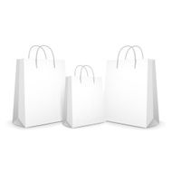 blank paper bags set N5