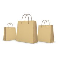 blank paper bags set in brown
