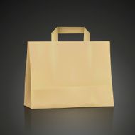 blank kraft shopping bag N2
