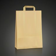blank kraft shopping bag N3