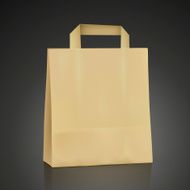 blank kraft shopping bag N4