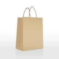 brown paper bag isolated on white